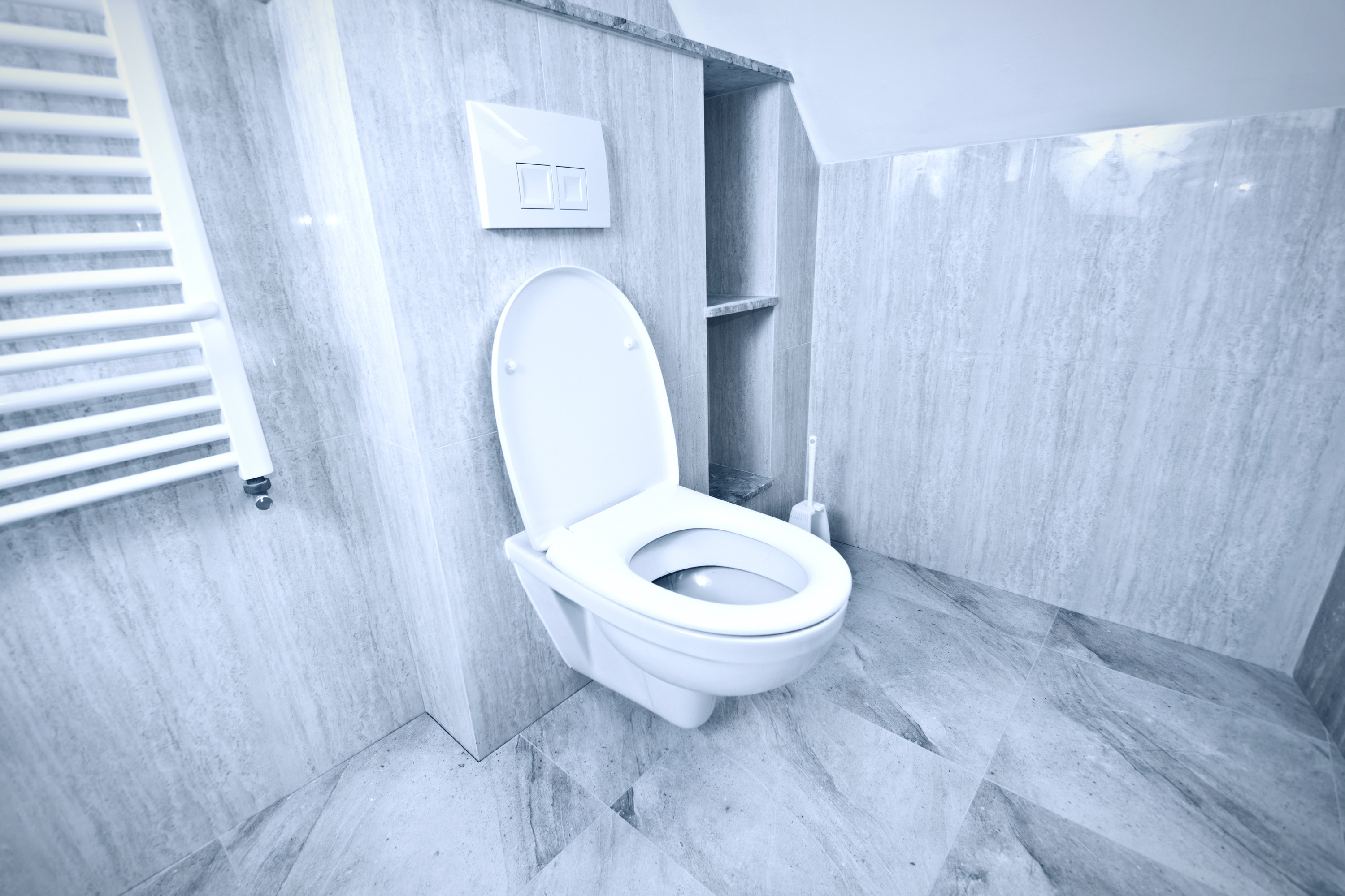 Quel bâti-support encastré pour WC choisir ?
