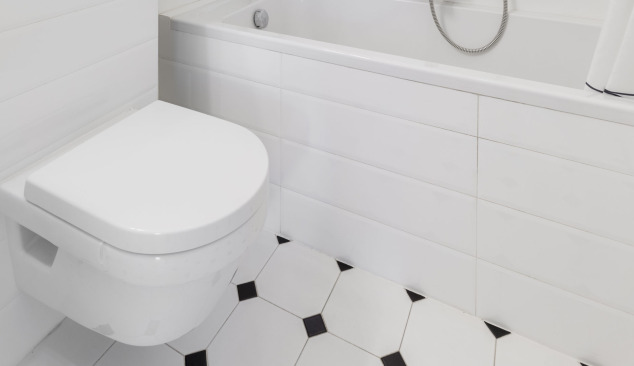 Cuvette WC suspendue ou posée