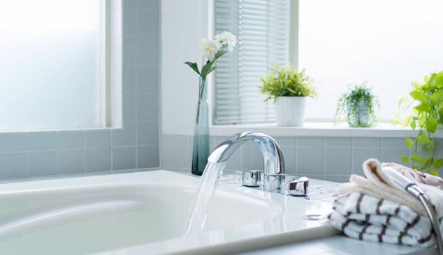 À quoi faire attention lors de l'achat d'une baignoire ?