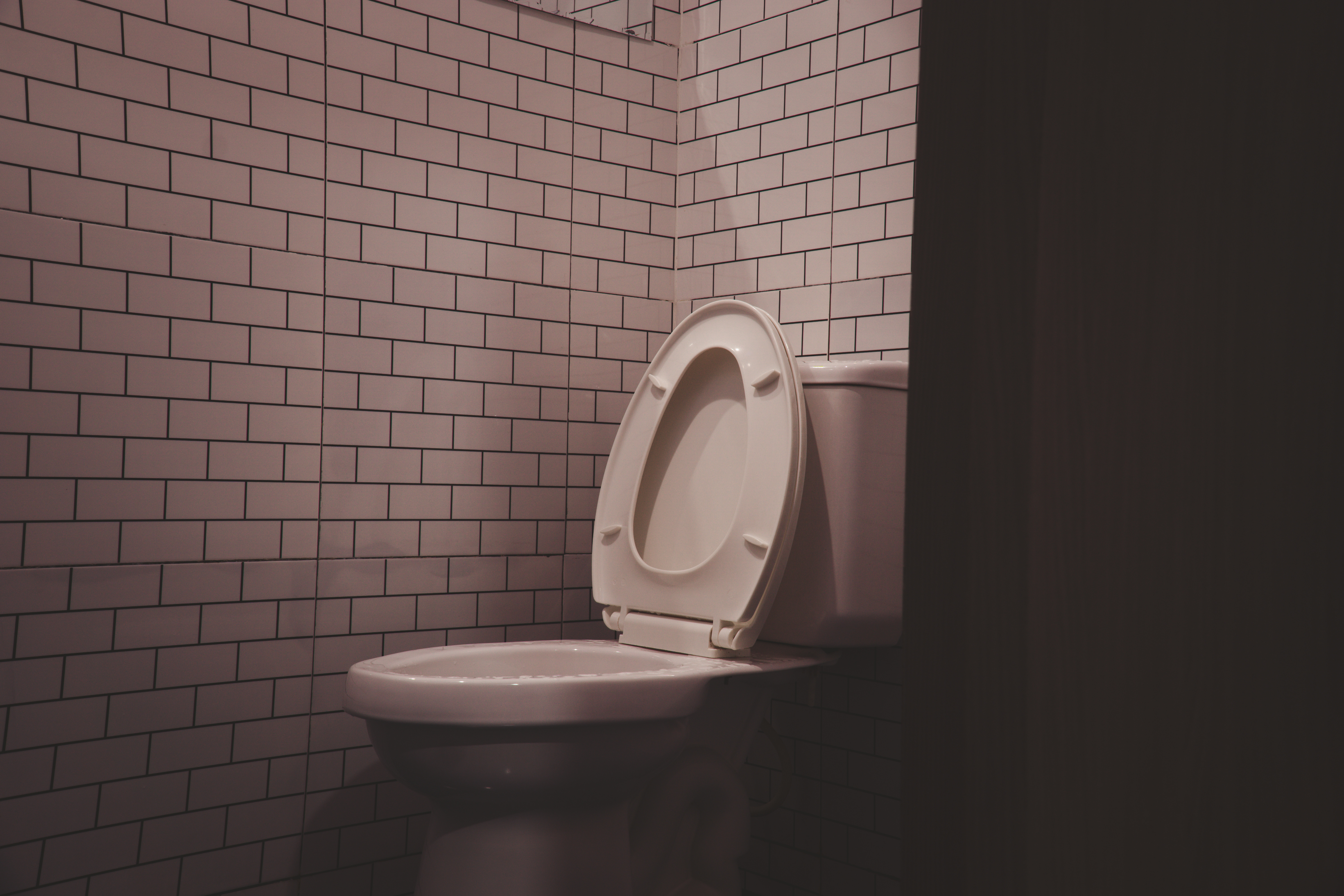 Comment acheter une bonne lunette de WC?
