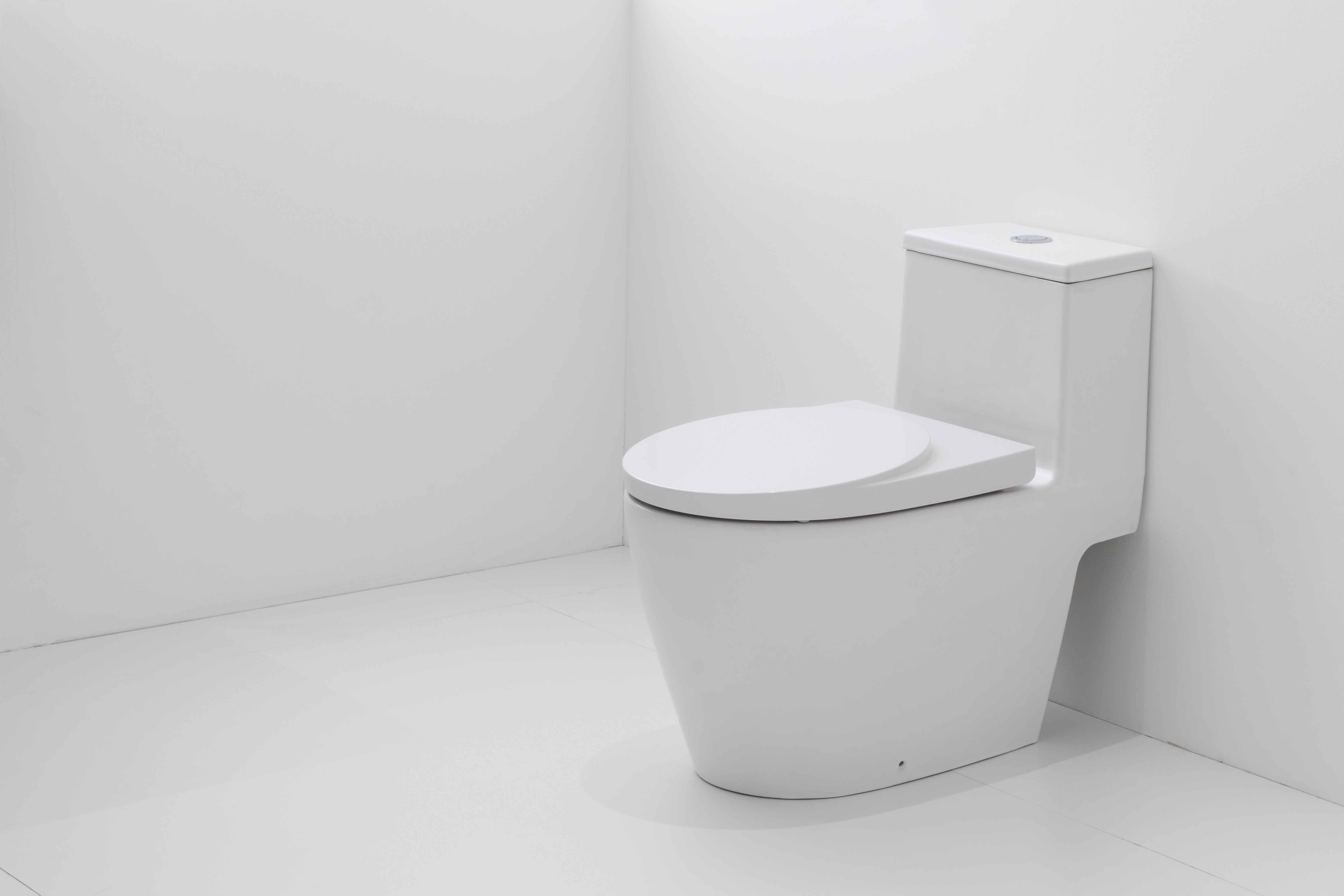 Comment adapter un lavabo WC à la décoration?