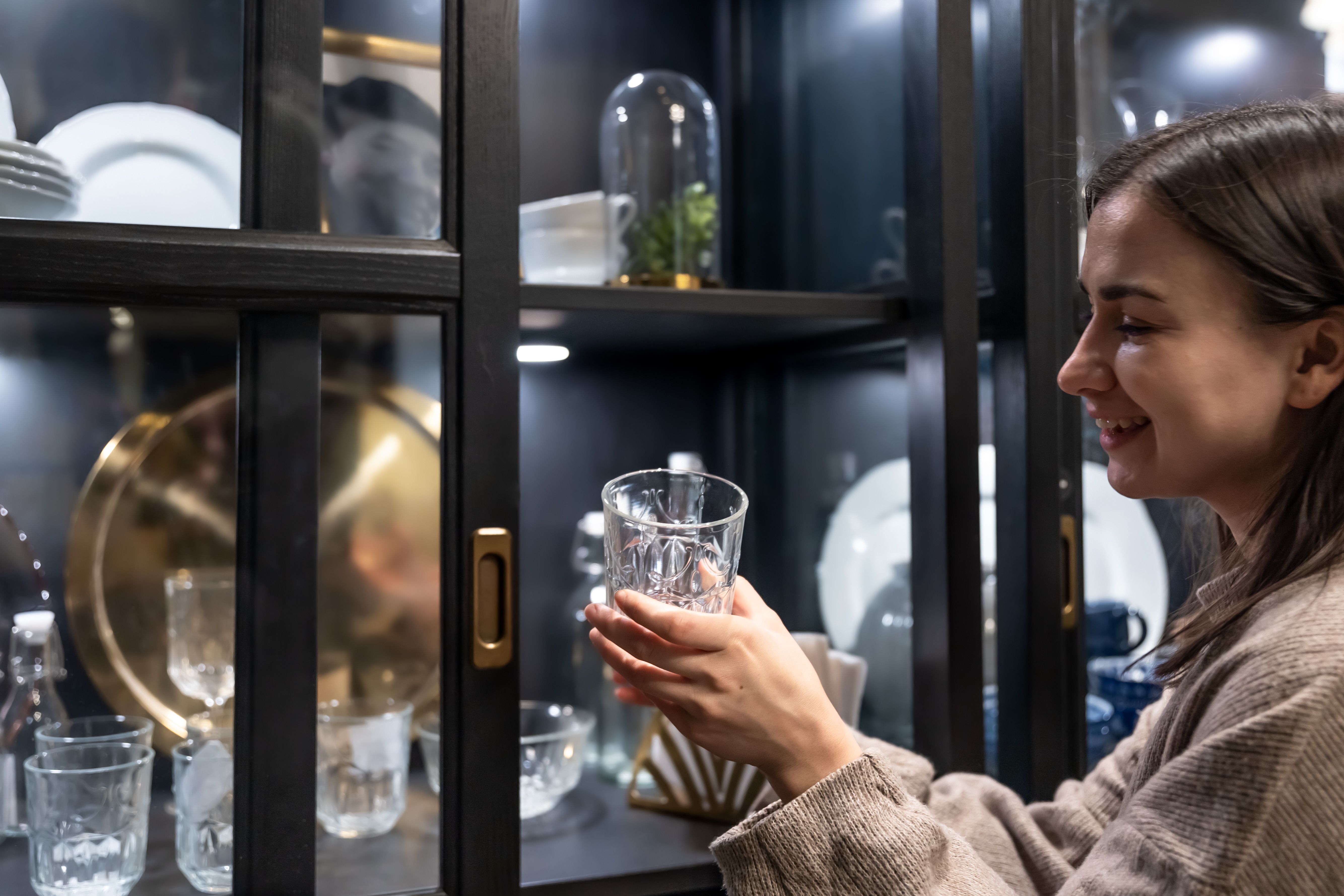 Vitrine - un meuble non évident pour la cuisine