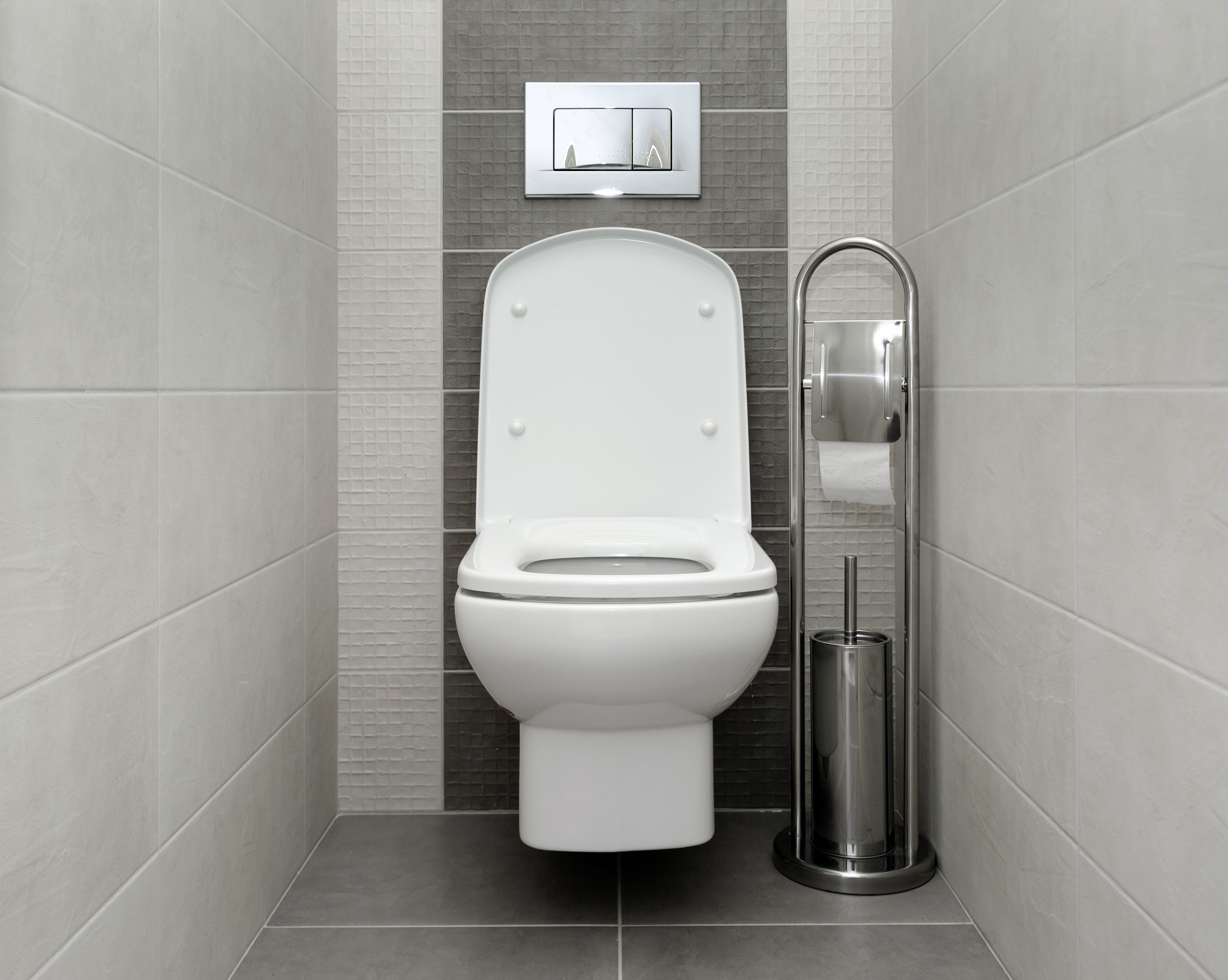 Types de chasses d'eau pour WC - À quoi faire attention ?