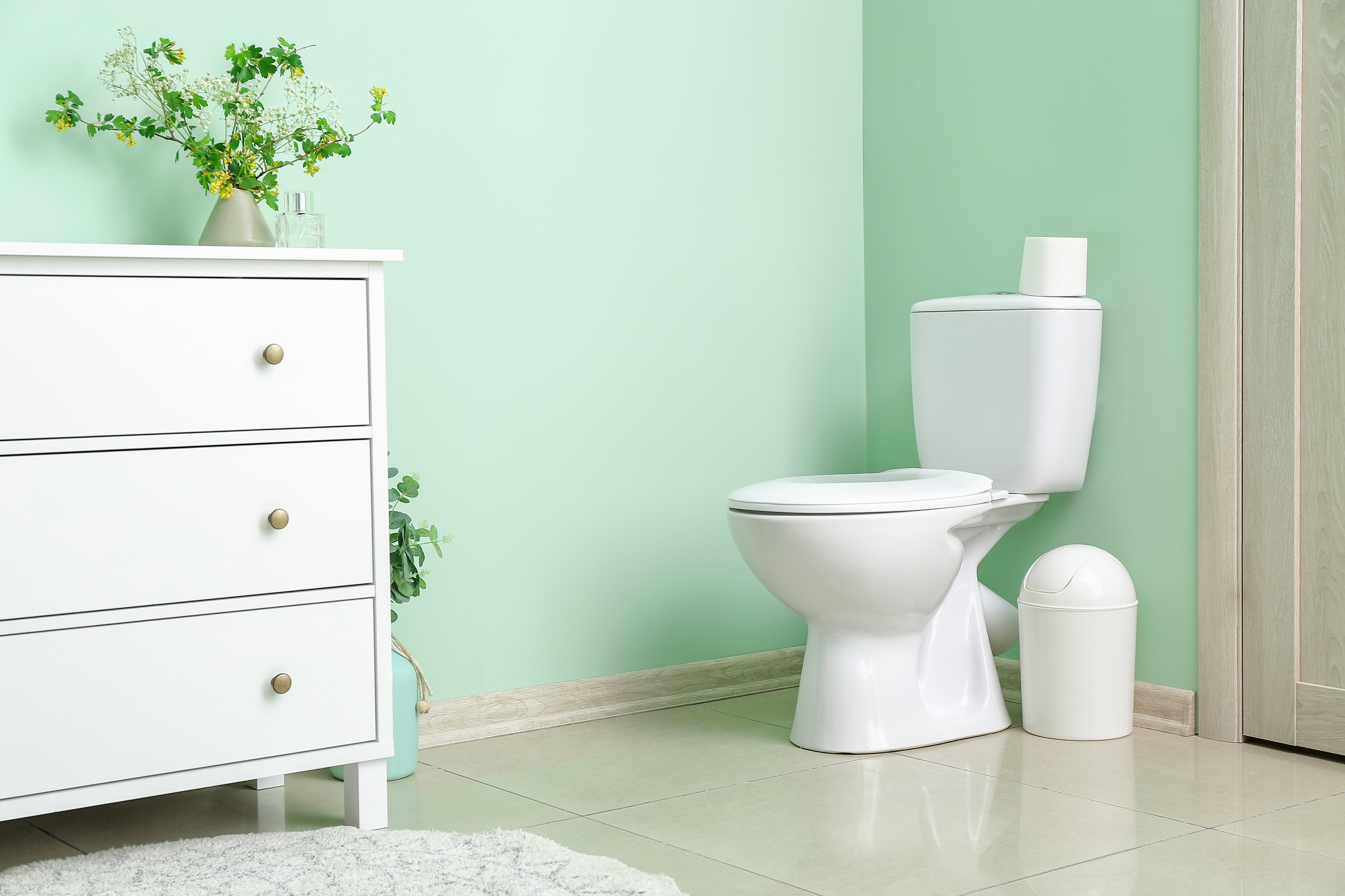 Cuvette de WC avec revêtement protecteur ou non ?
